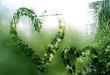 HTH- 巴黎胜日耳曼 