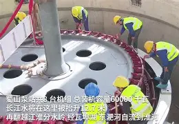 华体会- 奥兰多魔术训练开放日，窗口期再遭质疑引欢呼，亚冠在即，控场能力受关注